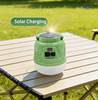 ShiErTu Multifunctional Solar Charging Outdoor Camping Bulb Lamp-881