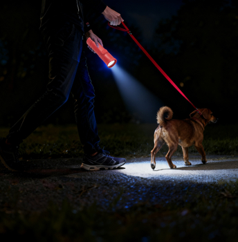 Walking the dog outdoors