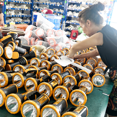 Provide OED And ODM Services